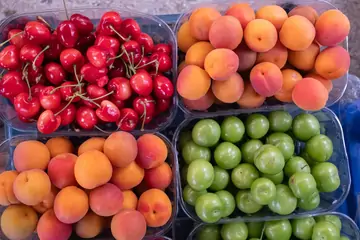 Tunahan Kayısıcı: Malatya Kayısısının Kaliteli Adresi